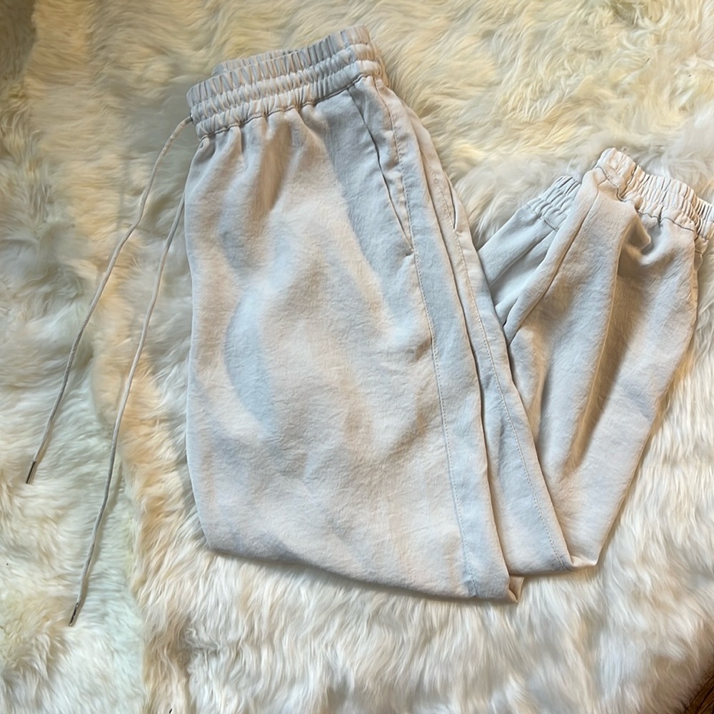 Aritzia joggers